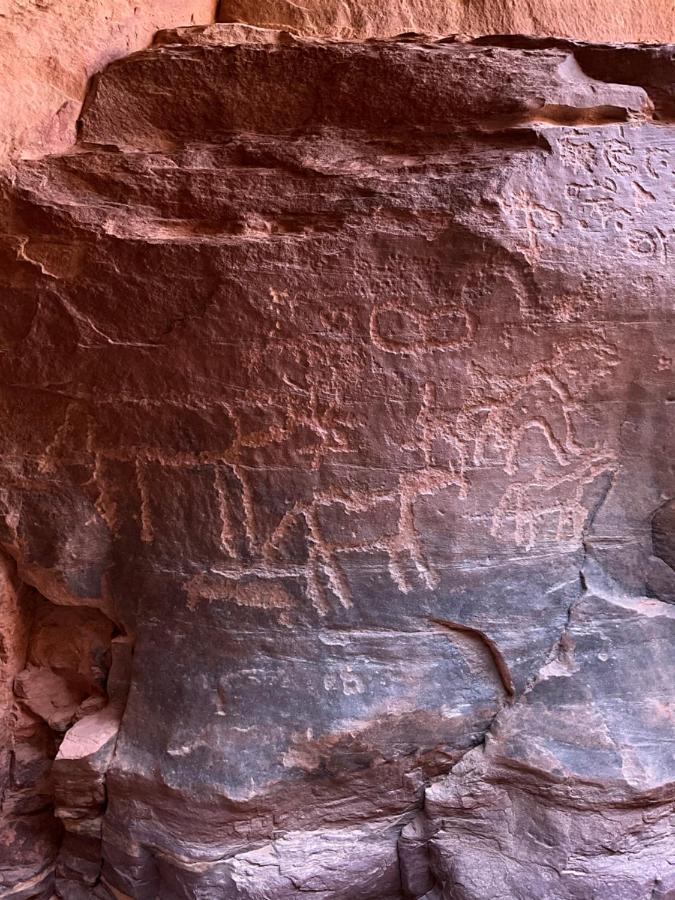 Wadi Rum Bedouin Heart Camp 外观 照片