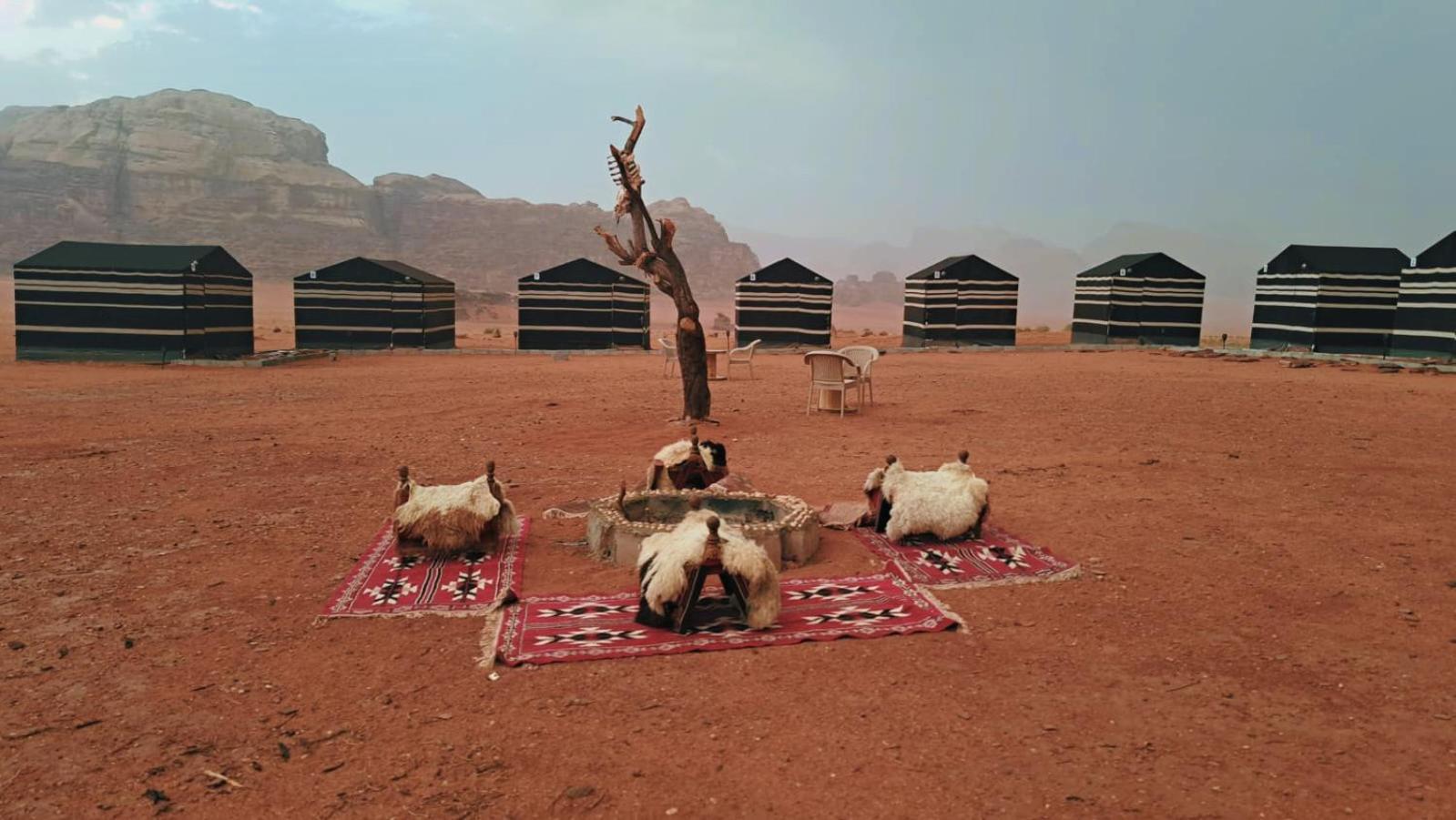 Wadi Rum Bedouin Heart Camp 外观 照片
